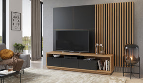 TV WALL UNIT CELINE 10 SLATWALL Wotan oak / blackThe set consists of the following elements(width/height/depth in cm)Lamellas on the CELINE 02 panel (51/179/7)CELINE 03 wall panel (146/146/2)Lamellas on the CELINE 04 panel (55/146/7)CELINE 40 TV chest of
