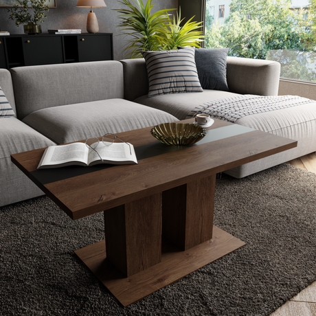 COFFEE TABLE BEN LEFKAS AND BLACK 110X60CM - Anna Furniture