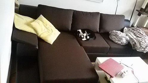 CUSTOMER POHOTOS & REVIEWSVISIT AND LIKE OUR FACEBOOK PAGEAnna Furniture