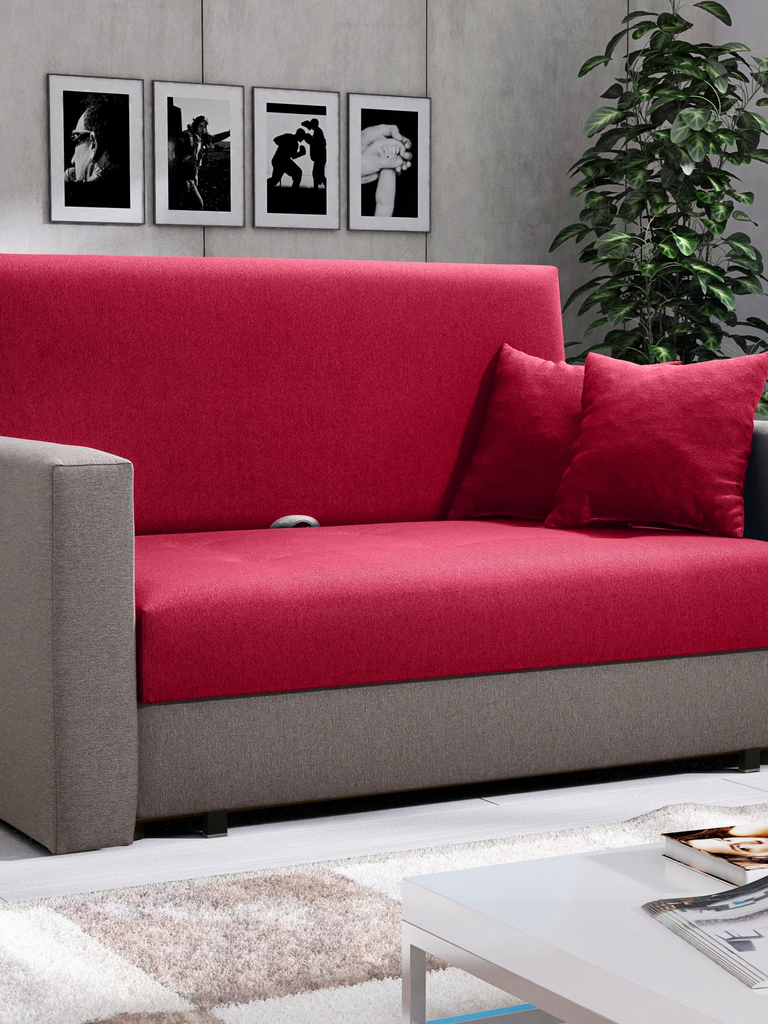 2 SEATER SOFA BED SMART II 137CM CHOICE OF COLORS / SPRINGS + FOAMDimensions :- width 137 cm- height 85 cm- depth 95 cm- area sleeping 113/195 cm(no possibility to change dimensions) +/- 3The sofa is made on a wooden skeleton, the seat uses corrugated spr